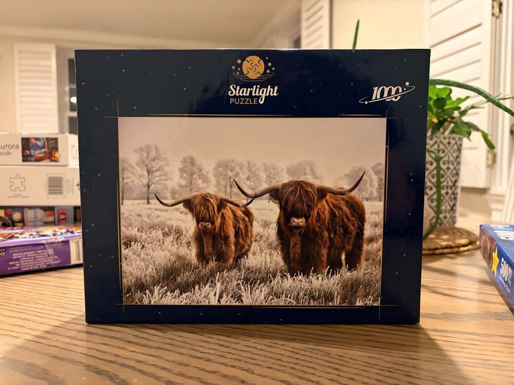 Starlight Puzzle Snowy Scottish Highland Cattle 1000 Piece Jigsaw Puzzle